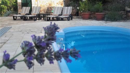 Lavender Hill Hvar Villa pool jacuzzi sauna BBQ — 4-Star Luxury Hotel in Stari Grad, Croatia