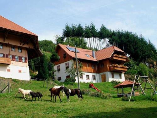 Schwoererhof — Kenzingen