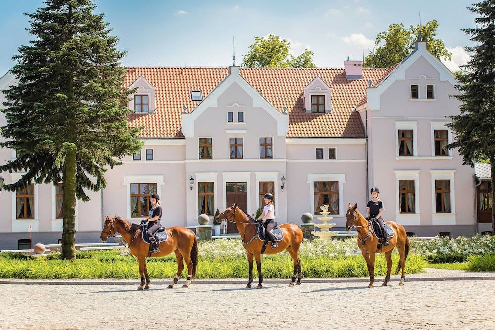 Pałac Mortęgi Hotel Spa — hotel in Lubawa