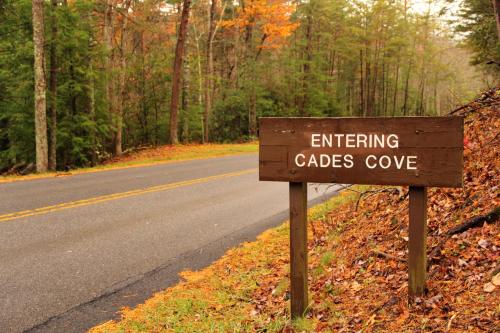 Black Bears and Fireflies Hot Tub Cozy Cabin Retreat in the Smokies Comfort & Fun for All — 4-Star Luxury Hotel in Sevierville, United States