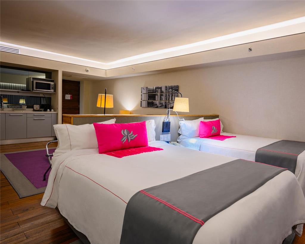 Las Suites Campos Eliseos