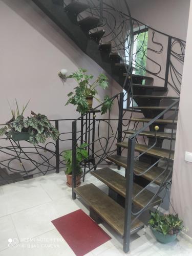 Sameba apartments