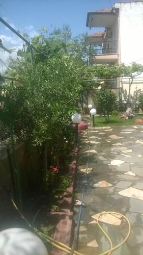 Villa Eleon 2 — Nea Vrasna — photo 4