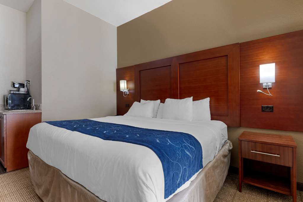 Comfort Suites Gainesville - photo 7