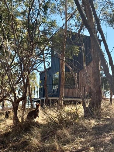 Richmond Wildlife Haven in Richmond, Australia