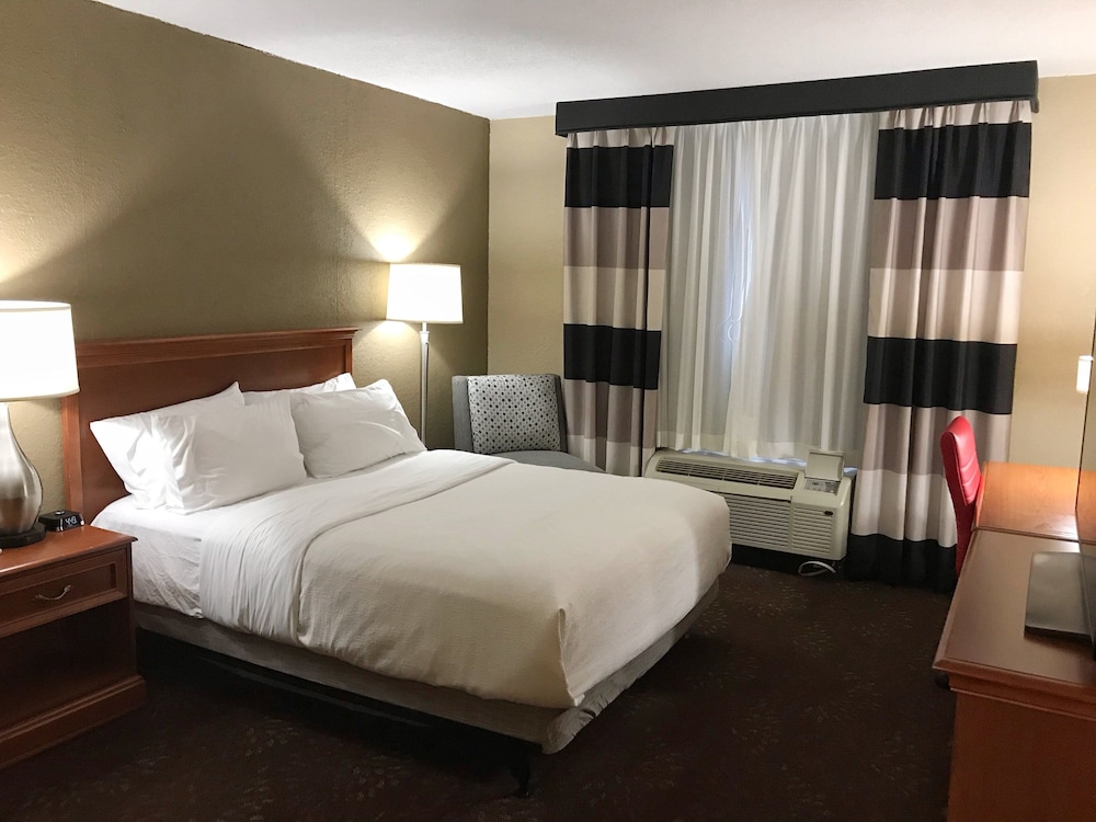 Holiday Inn Alexandria by IHG - photo 13