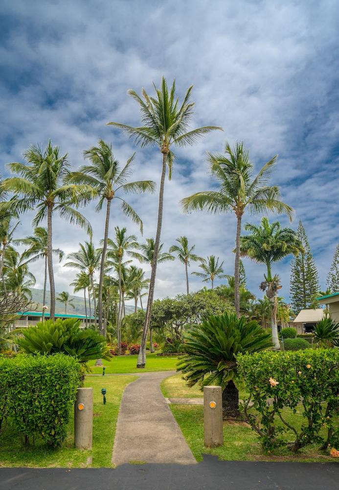 Wavecrest by Molokai Vacation Properties - photo 15