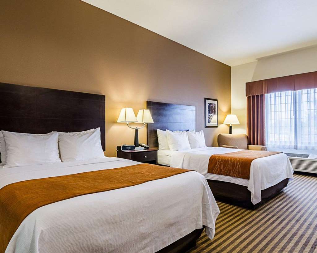 Comfort Inn & Suites Lawrence University Area - photo 12