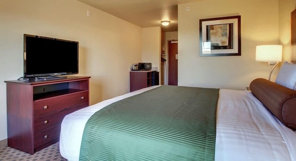 Cobblestone Inn & Suites Altamont - photo 11