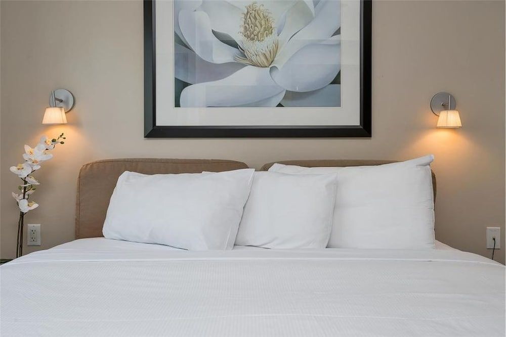 Strand Ocean Drive Suites - photo 42
