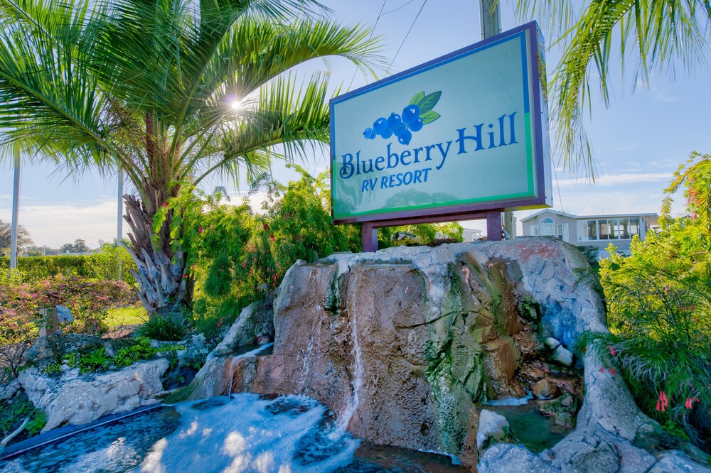 Blueberry Hill - photo 21