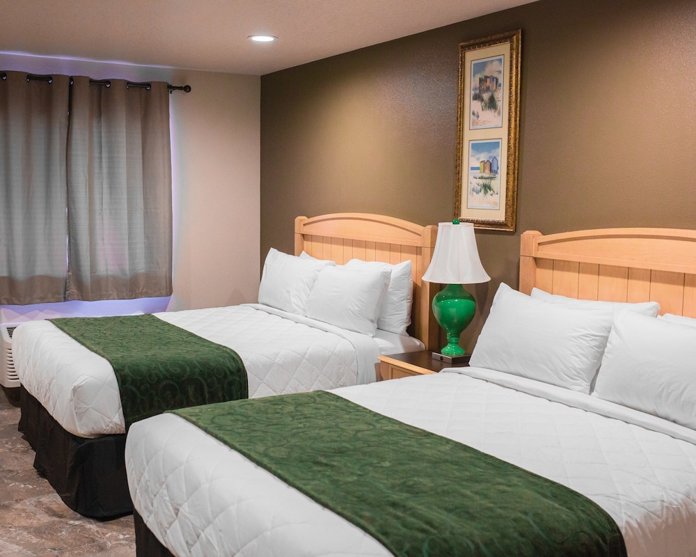 The Gator Den Motel - photo 6