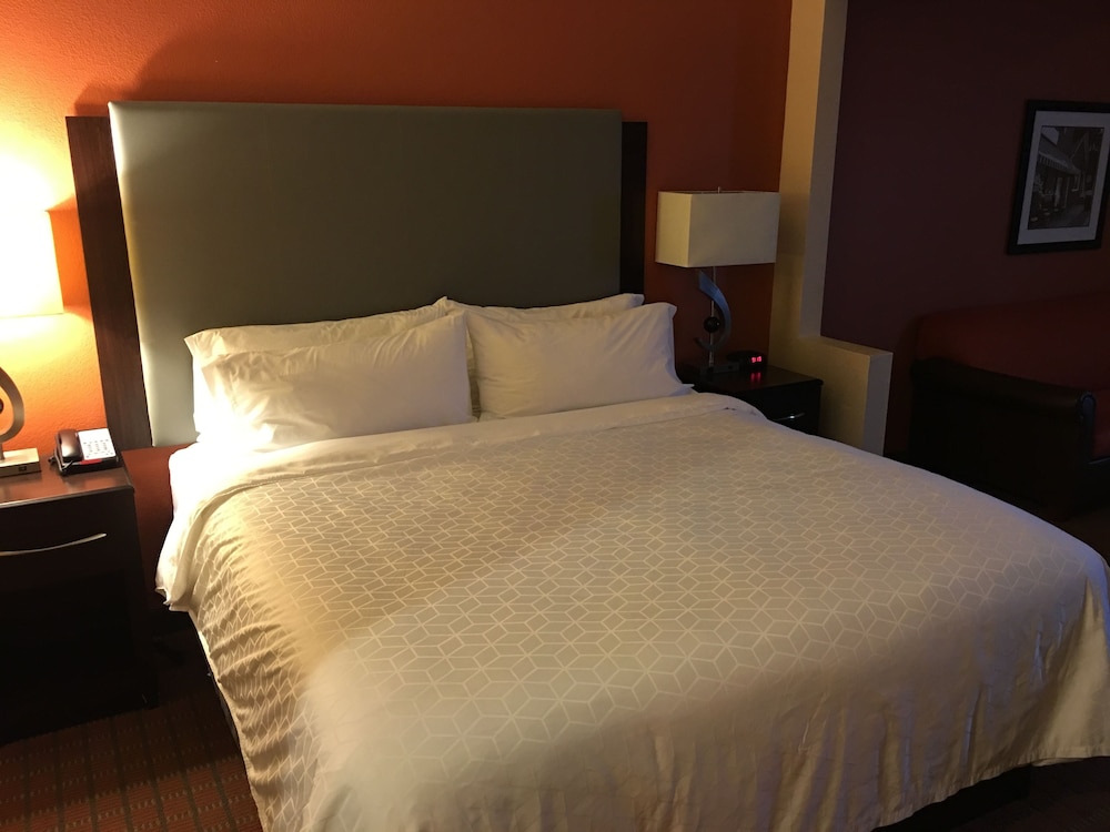 Holiday Inn Express Hotel & Suites Laurinburg an IHG Hotel - photo 3