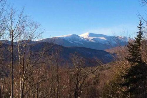 Tin Mountain Treetops Time in Jackson, United States