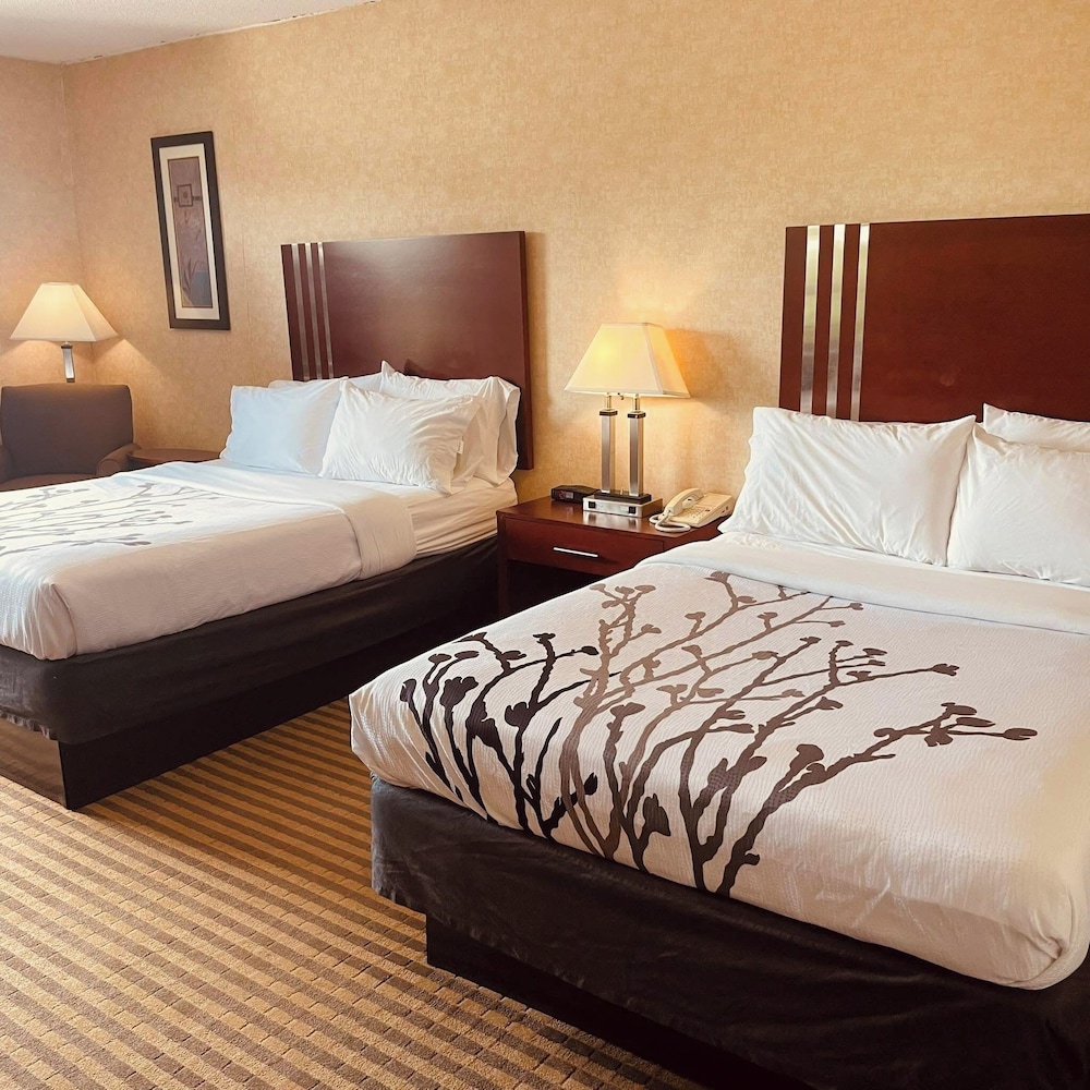 Lynchburg Grand Essential - featured photo