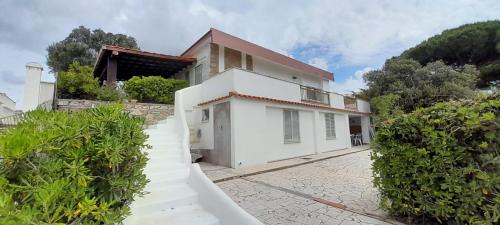 Grillo Allegro in Terracina, Italy