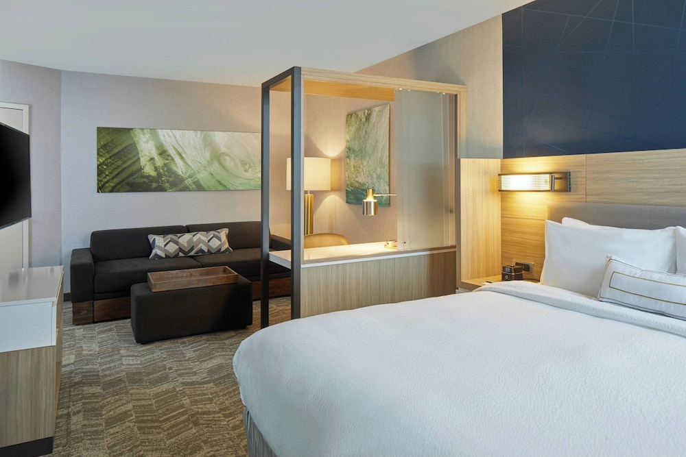 SpringHill Suites by Marriott Charlotte at Carowinds - photo 10