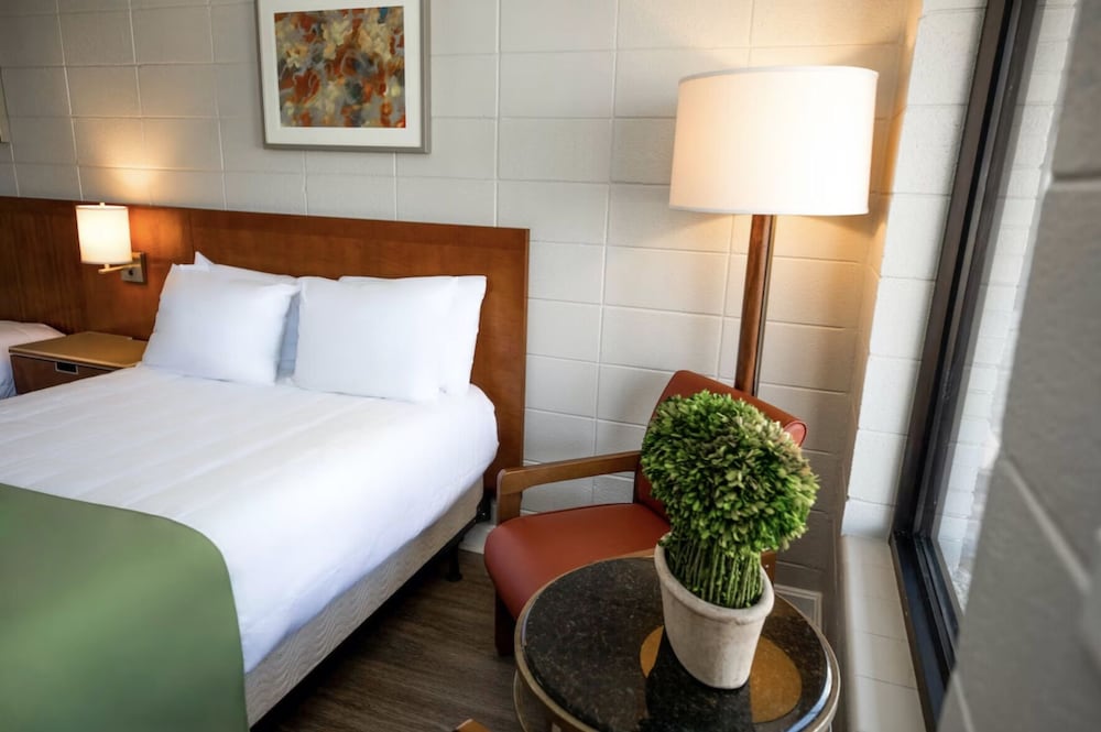 The Grand Regal Resort - photo 6