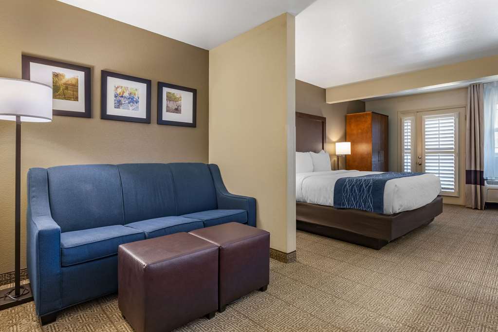 Comfort Inn & Suites Ukiah Mendocino County - photo 30