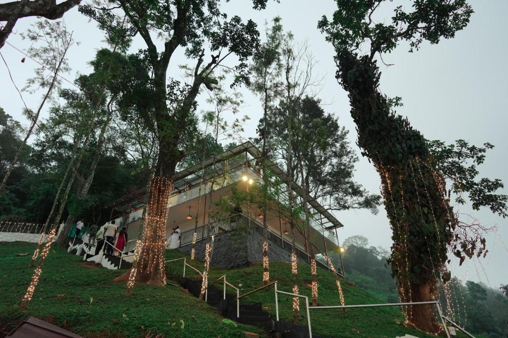 Misty Wonders — Munnar — photo 2