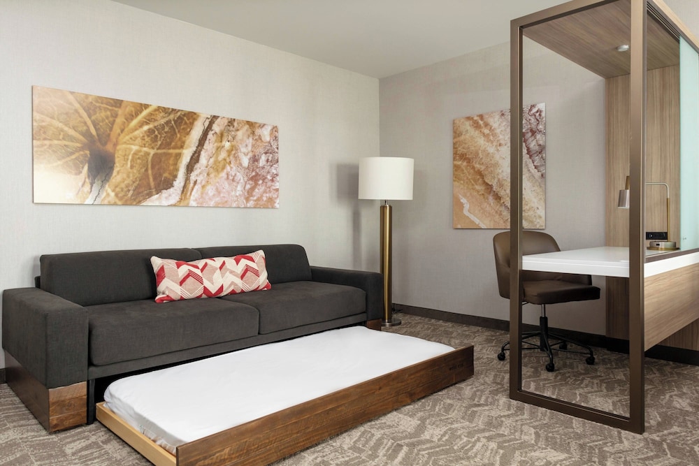 SpringHill Suites by Marriott Great Falls - photo 6