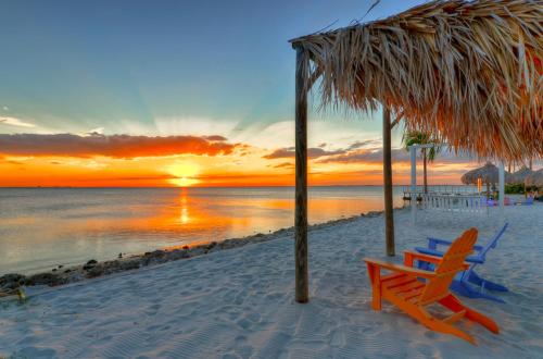410 Gorgeous Views Waterfront WIFI Pool and close to BUCS Stadium — 4-Star Luxury Hotel in Tampa, United States