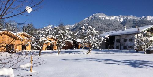 Lohei Chalets im Chiemgau — Unterwossen — photo 2