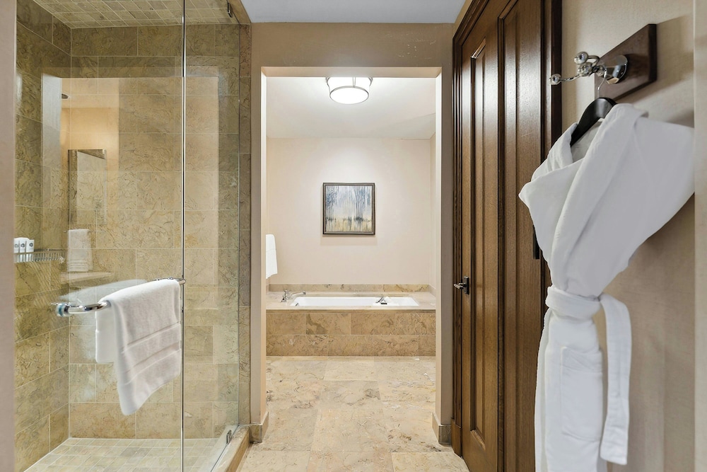 The St. Regis Deer Valley - photo 38