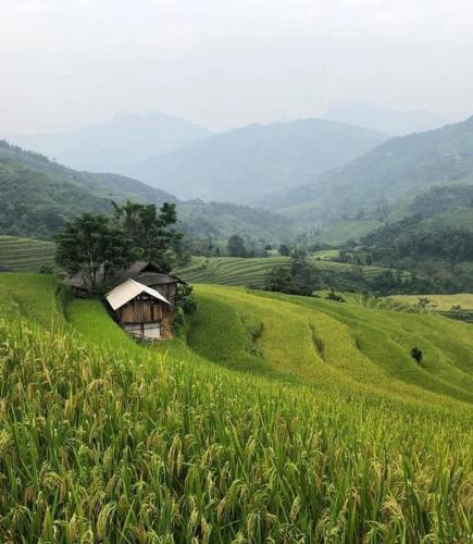 Nậm Lỳ Retreat in Ha Giang, Vietnam
