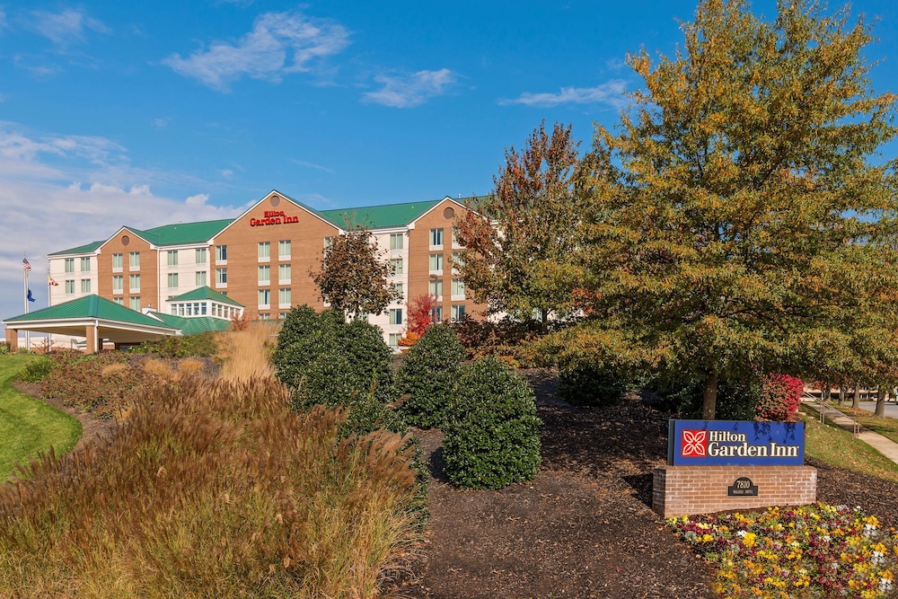 Hilton Garden Inn Washington DC Greenbelt - photo 31