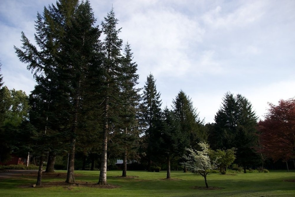 The Wayfarer Resort - photo 140