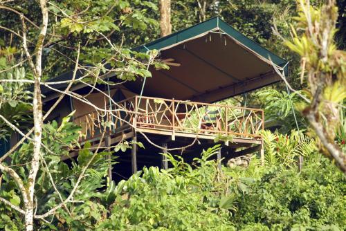 Rafiki Safari Lodge — 4-Star Luxury Hotel in San Jose, Costa Rica