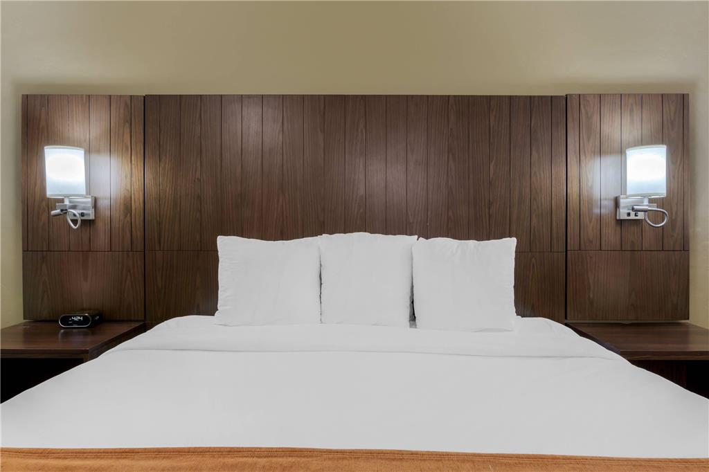 Comfort Suites Tucson near Sabino Canyon - photo 16