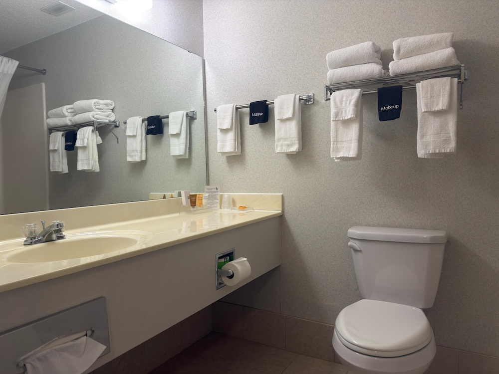 Country Inn Walker - photo 18