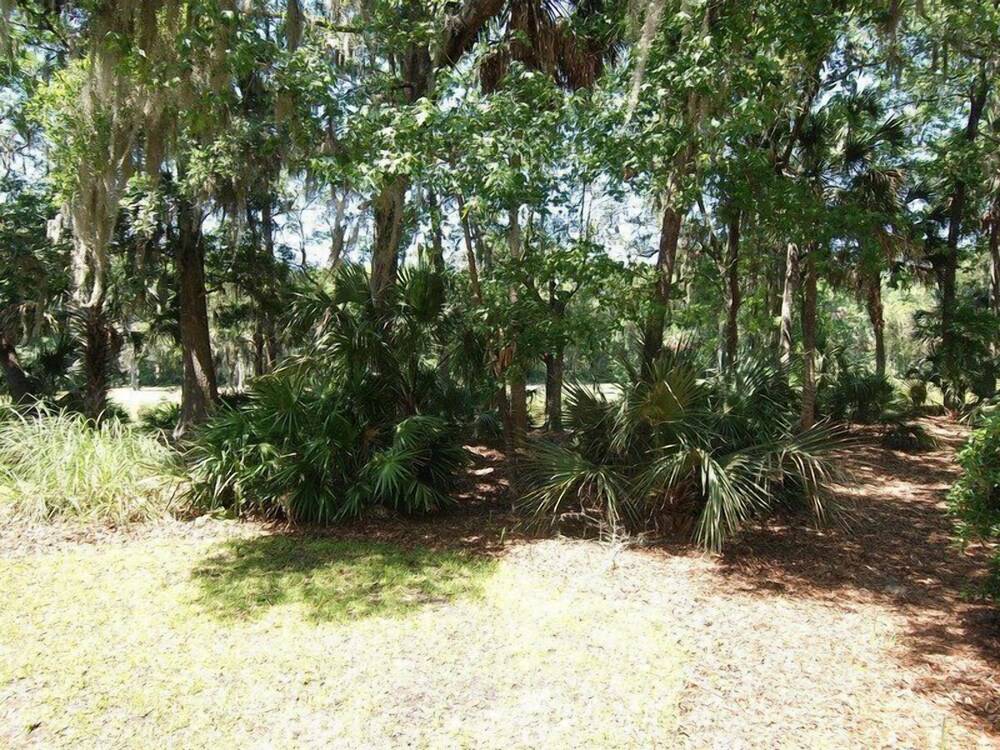 Evian 249 Hilton Head Island - photo 16