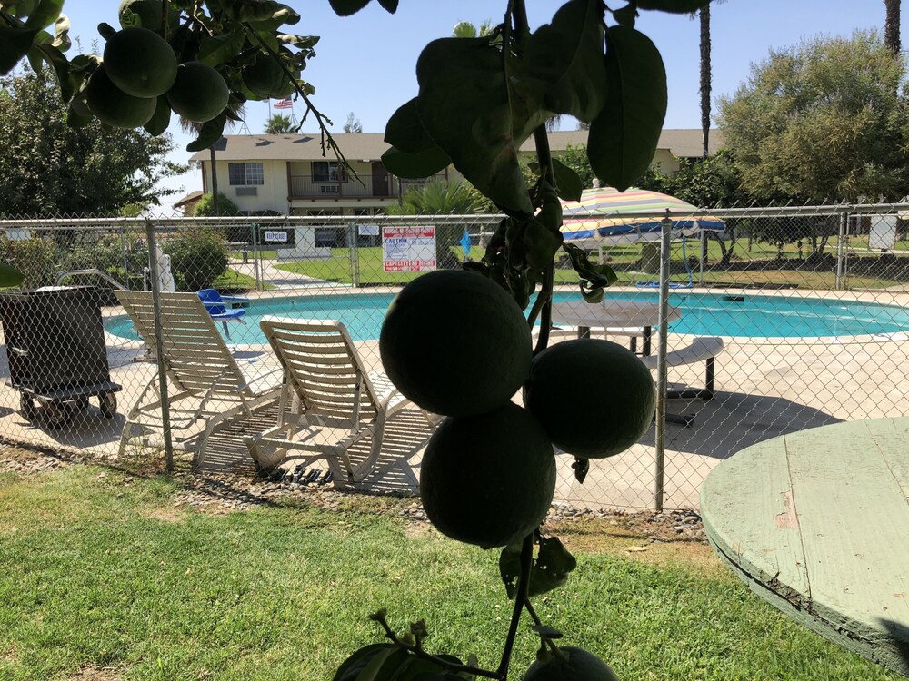 99 Palms Inn & Suites - photo 47