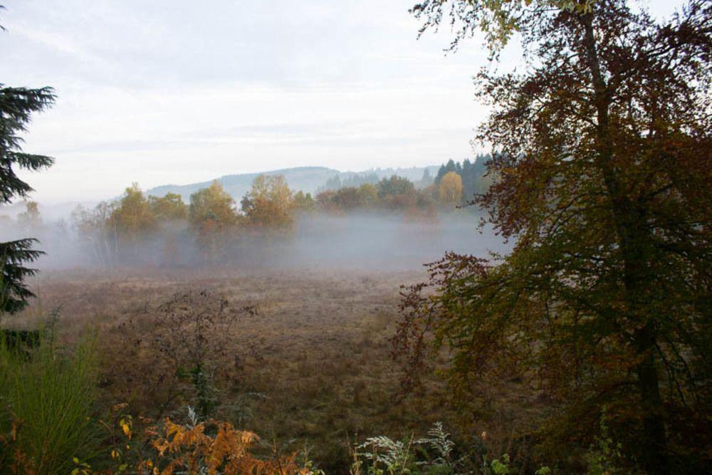 Les Chenes — Unknown City — photo 3