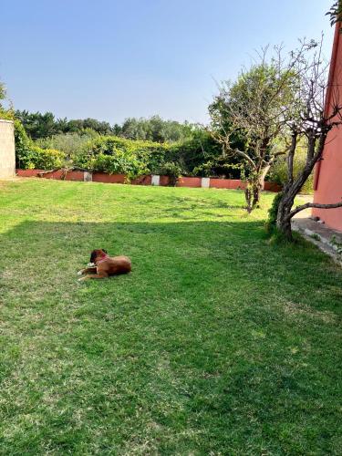 Descanso Del Guerrero - last minute hotel in Unknown City