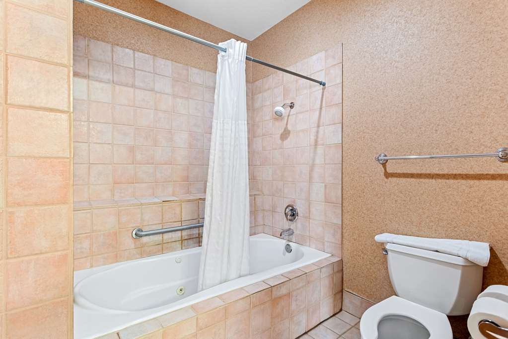 Comfort Inn & Suites I 25 near Spaceport America - photo 19