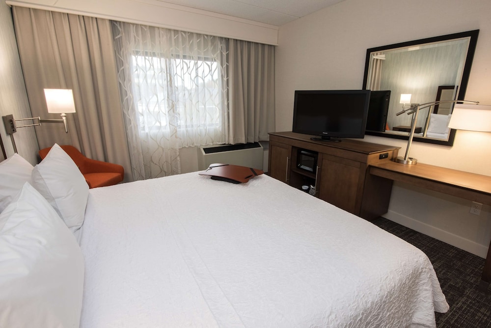 Hampton Inn Albany Western Ave University Area - photo 22