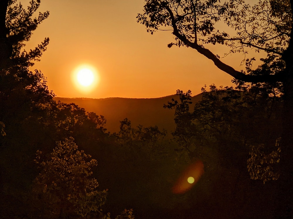 Barefoot Hills - photo 41