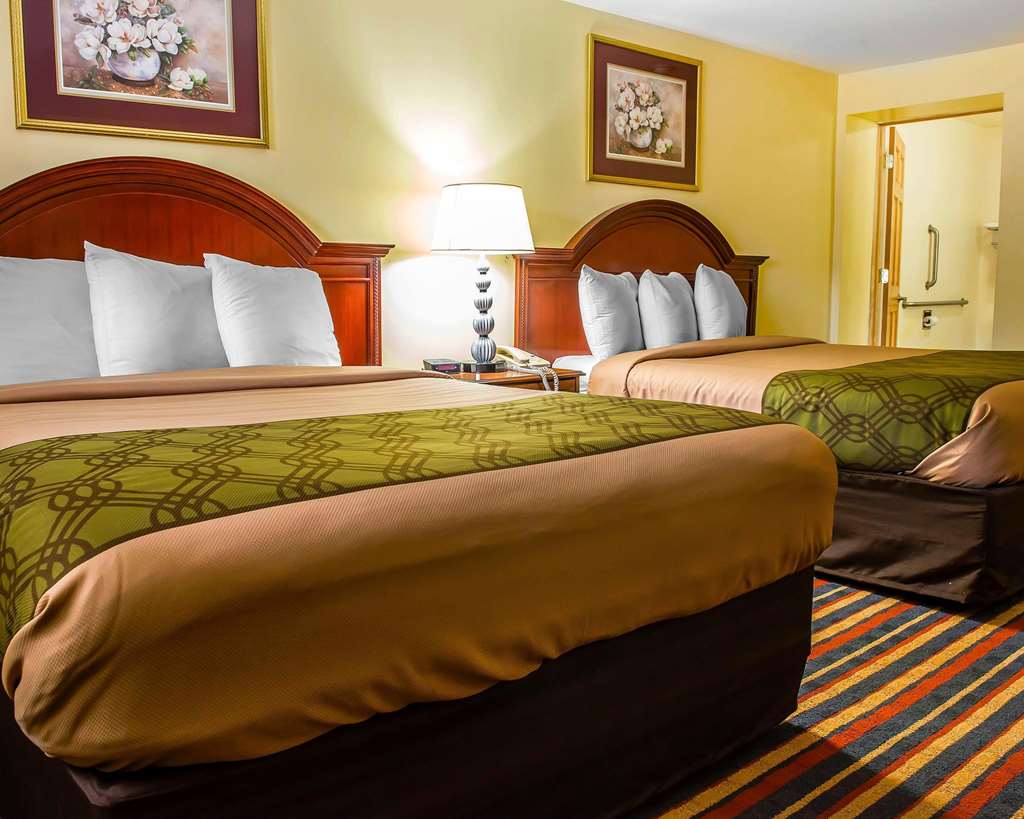 Econo Lodge Jefferson Hills Hwy 51 - photo 10