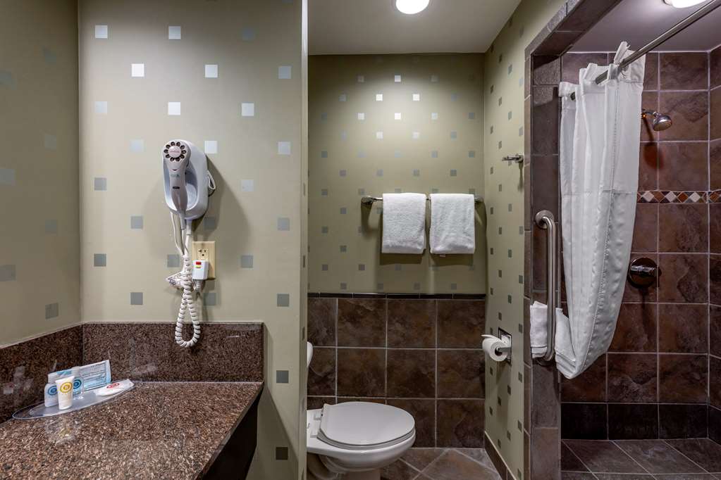 Comfort Suites Perrysburg Toledo South - photo 7