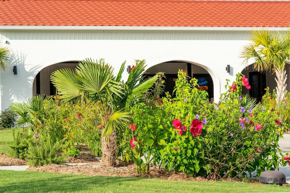 La Palmilla Texas - photo 94
