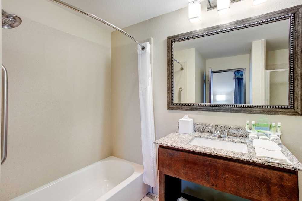Holiday Inn Express Hotel & Suites Raceland Highway 90 by IHG - photo 4
