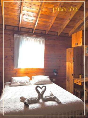 בלב הגורן Belevhagoren in Unknown City, Israel