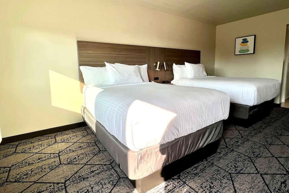 Ramada by Wyndham Modesto Yosemite Area - photo 11