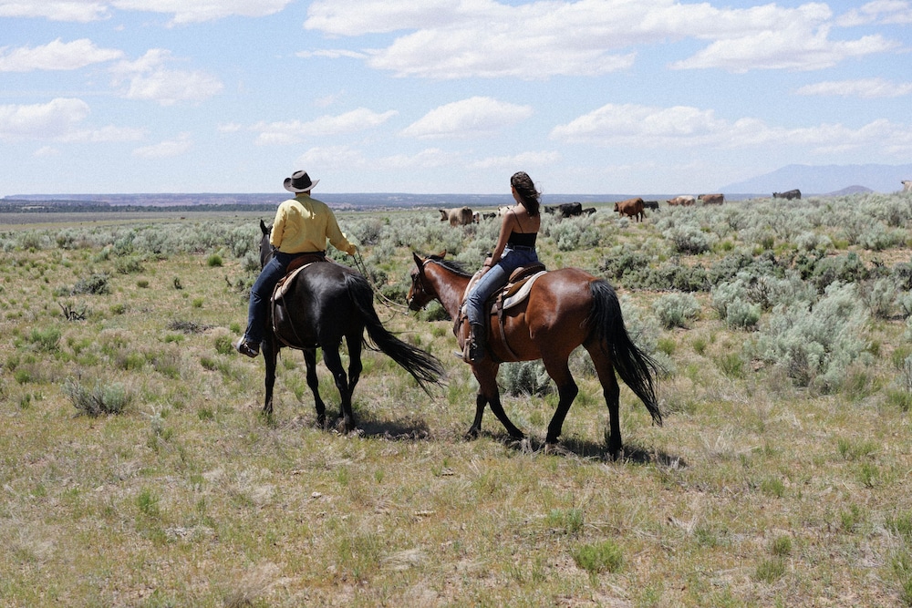 Zion Glamping Adventures - photo 30