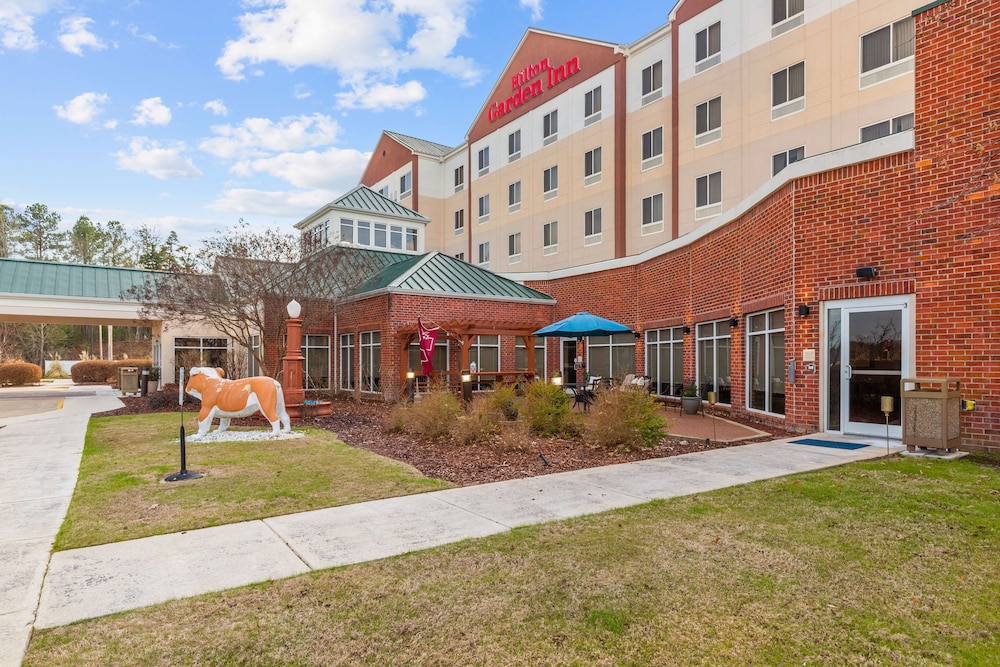 Hilton Garden Inn Starkville - photo 124
