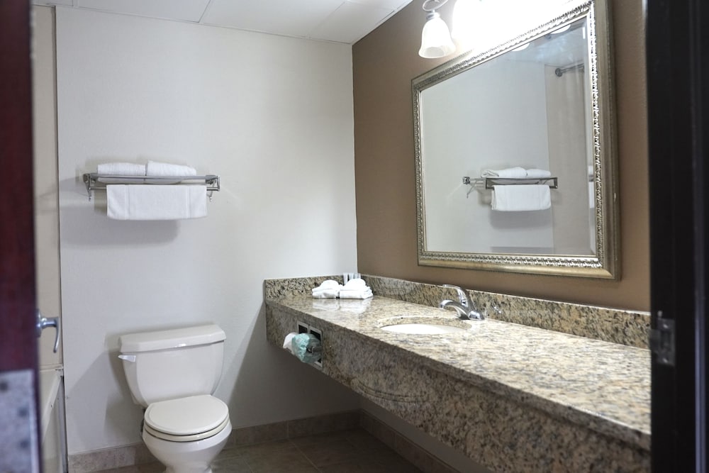 American Inn & Suites Waterford - photo 28